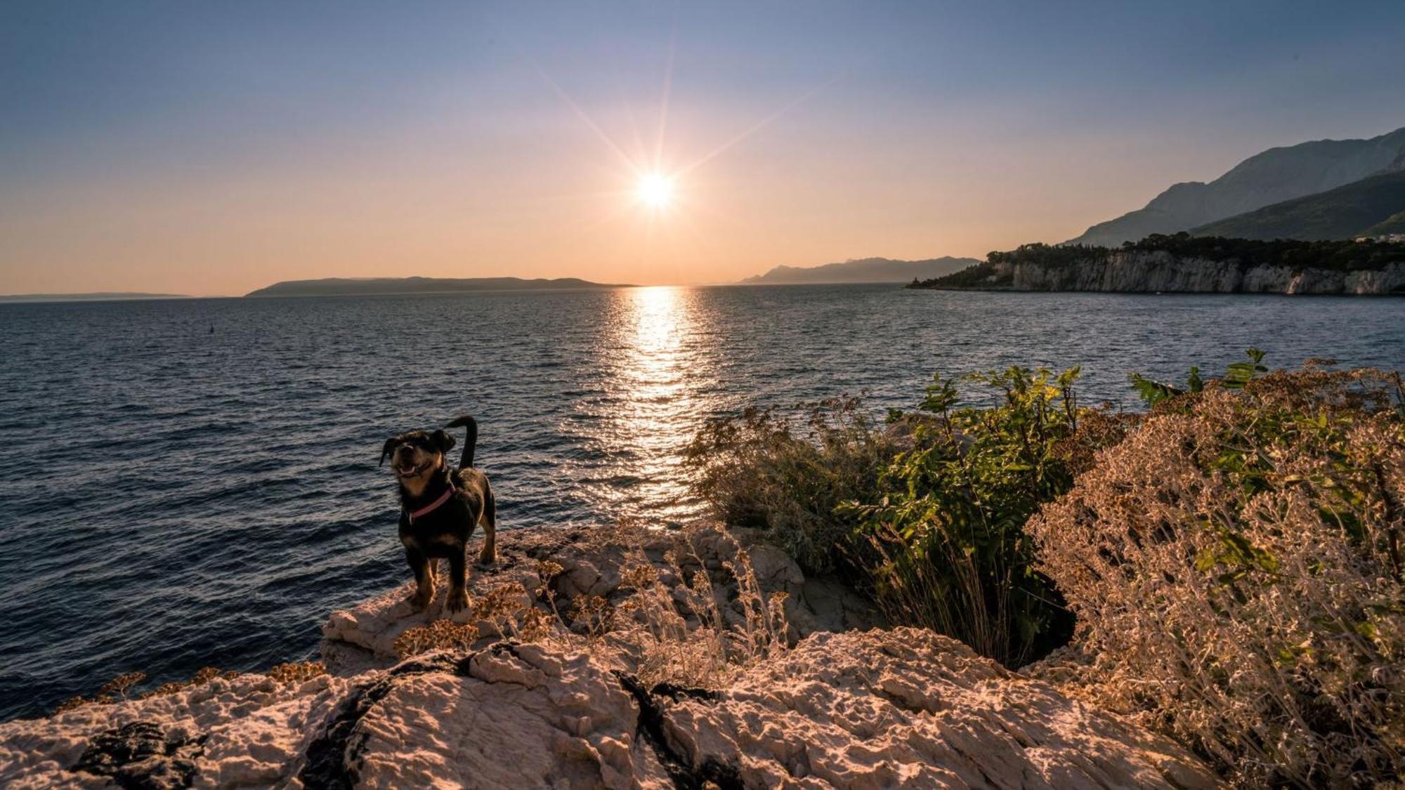 Studio Apartmani Ivanda Makarska Exterior foto